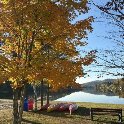 att.W8NXLCRjKPT9DNFkYWrR5lKuIoiwZuqqhE7LDqyF2Ec